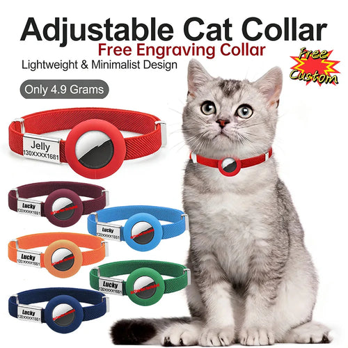 Collar elástico para gato con chapa grabada y funda para localizador, en varios colores