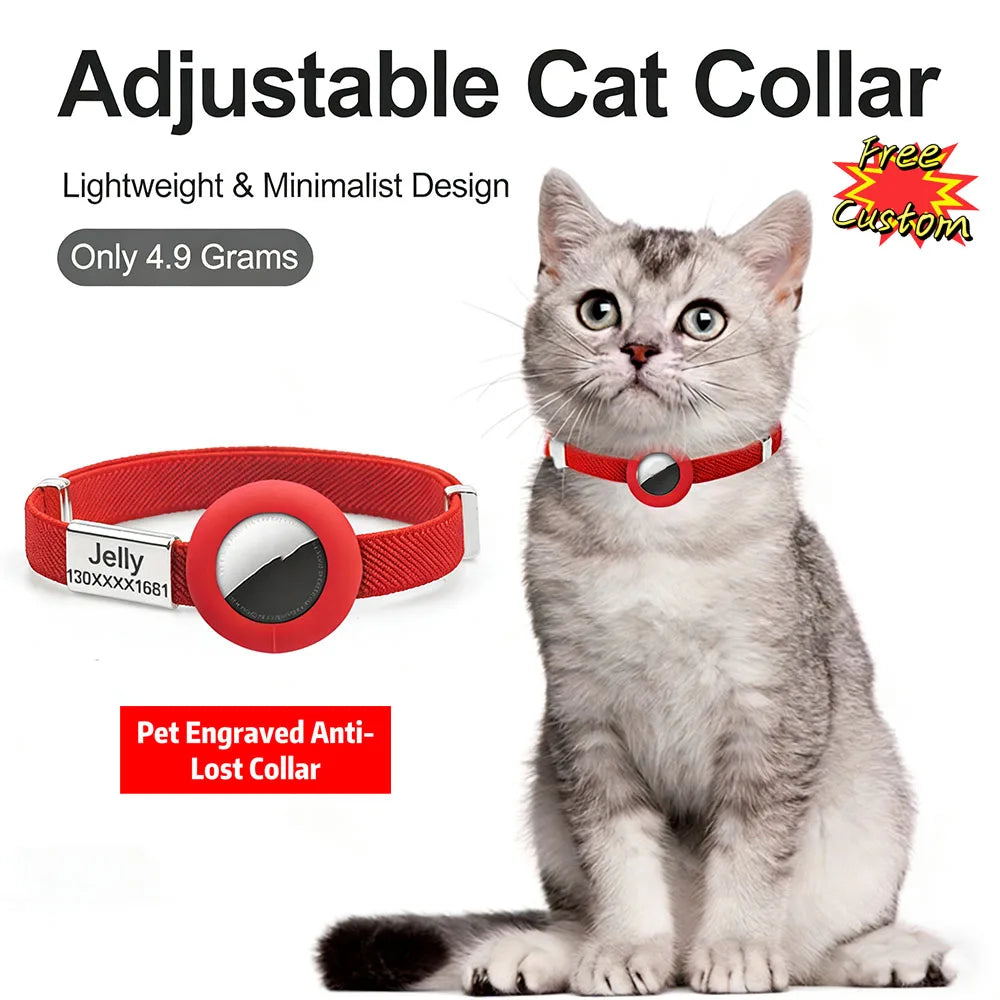 Gato con el collar rojo grabado puesto